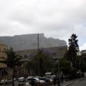ZAF WC CapeTown 2016NOV13 008 : Africa, Cape Town, South Africa, Western Cape, Southern, 2016 - African Adventures, 2016, November, The Company Garden, St Georges Cathedral